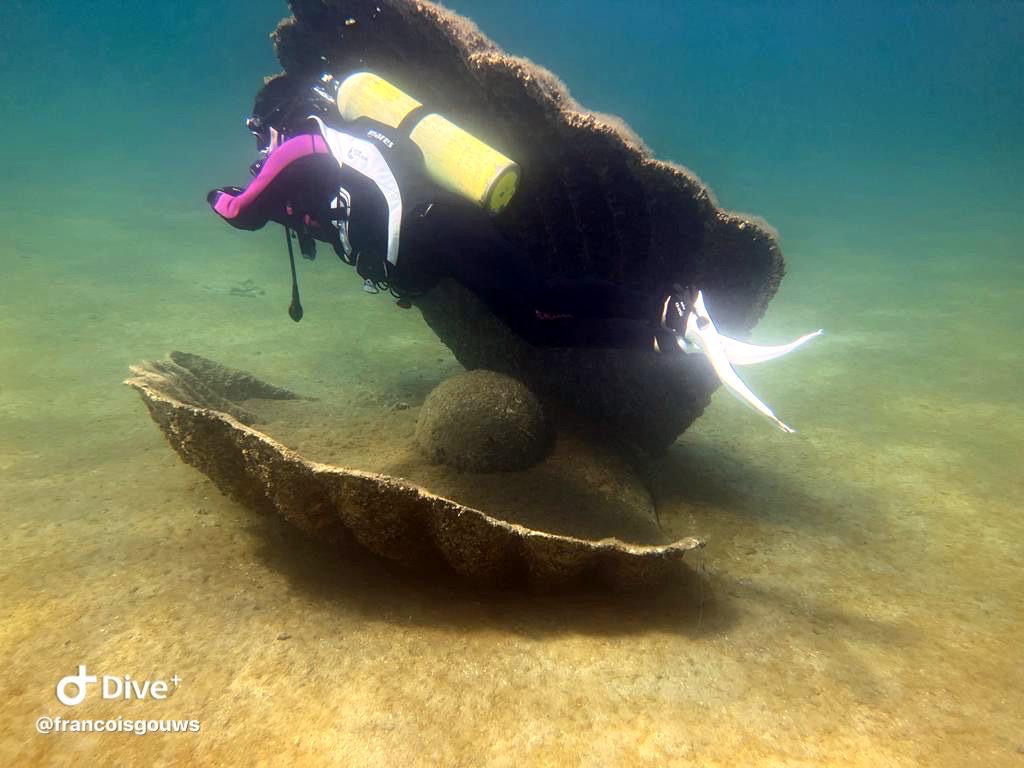 Scuba Diving in Dammam