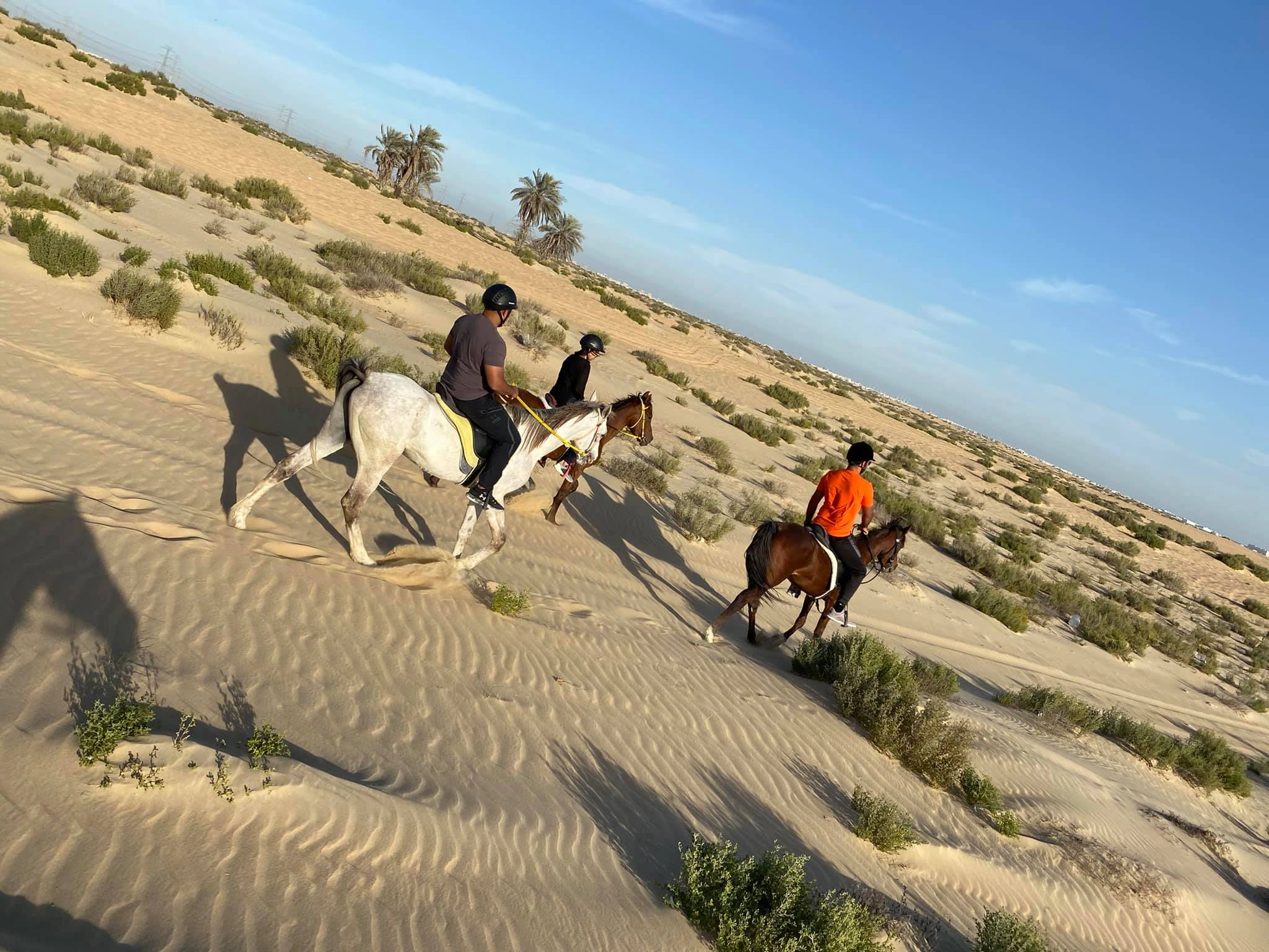 Horse Riding Course in Dammam