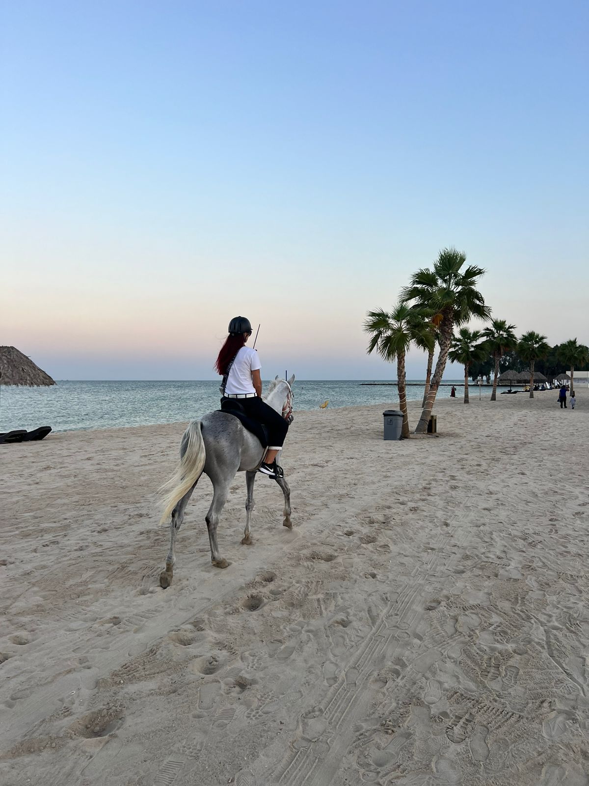 Horse Riding in Dammam, Scuba Diving in Dammam, water spot, Horse Riding in Khobar, Things to do in Dammam & Khobar, Boat Trip in Khobar, Desert Camping in Khobar Fishing trip in Jubail, Powered, Parachute in Alhasa, Microlight in Alhasa, Powered Parachute in Jubail, Desert Safari to Alasfar Lake, Things to do in Dammam &  Khobar, Scuba diving, Scuba Diving in Khobar, Scuba Diving in Eastern Province, Scuba Diving in Jubail, Scuba Diving in Halfmoon Beach, Discovery Scuba Diving in Dammam, Discovery Scuba Diving in Khobar, Discovery Scuba Diving in Halfmoon Beach, Water sports near me, Water Sports in Khobar, Water Sports in Dammam, Water Sports in Eastern Province, Water activities in khobar, Water activities in dammam, Water activities in Eastern Province , Water activities in Halfmoon beach, Parasailing in Khobar, Parasailing in Dammam