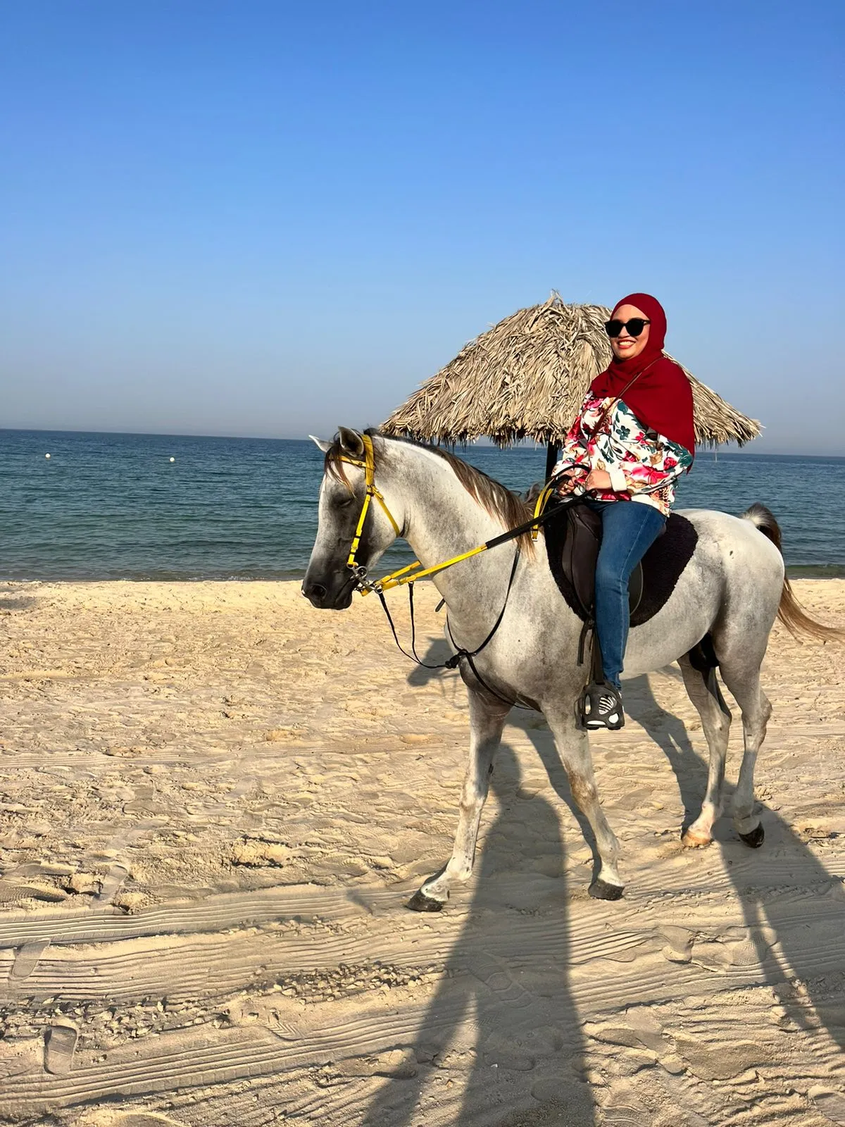 Horse Riding in Dammam, Scuba Diving in Dammam, water spot, Horse Riding in Khobar, Things to do in Dammam & Khobar, Boat Trip in Khobar, Desert Camping in Khobar
Fishing trip in Jubail, Powered, Parachute in Alhasa, Microlight in Alhasa, Powered Parachute in Jubail, Desert Safari to Alasfar Lake, Things to do in Dammam & 
Khobar, Scuba diving, Scuba Diving in Khobar, Scuba Diving in Eastern Province, Scuba Diving in Jubail, Scuba Diving in Halfmoon Beach, Discovery Scuba Diving in Dammam, Discovery Scuba Diving in Khobar, Discovery Scuba Diving in Halfmoon Beach, Water sports near me, Water Sports in Khobar, Water Sports in Dammam, Water Sports in Eastern Province, Water activities in khobar, Water activities in dammam, Water activities in Eastern Province , Water activities in Halfmoon beach, Parasailing in Khobar, Parasailing in Dammam