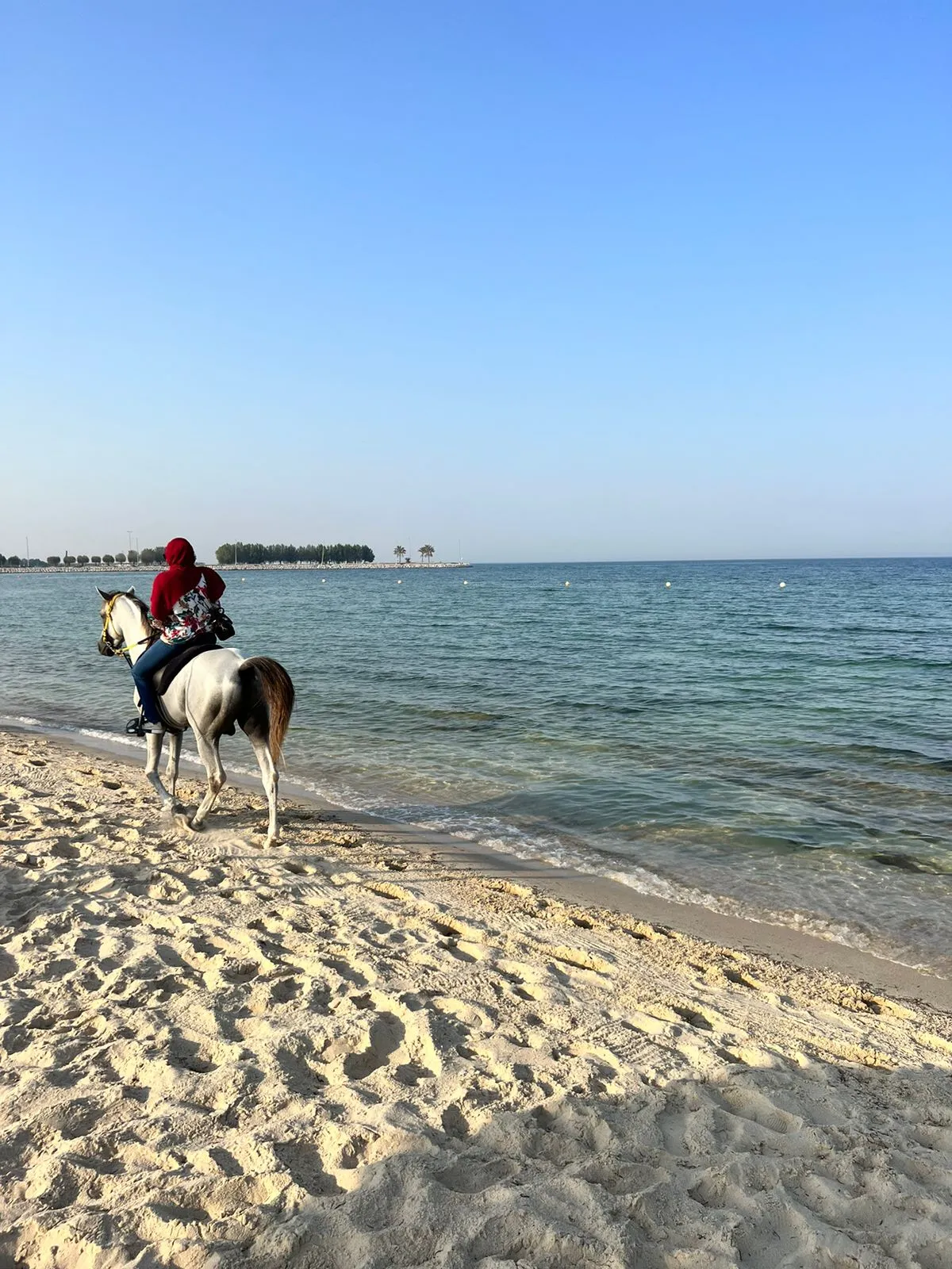 Horse Riding in Dammam, Scuba Diving in Dammam, water spot, Horse Riding in Khobar, Things to do in Dammam & Khobar, Boat Trip in Khobar, Desert Camping in Khobar Fishing trip in Jubail, Powered, Parachute in Alhasa, Microlight in Alhasa, Powered Parachute in Jubail, Desert Safari to Alasfar Lake, Things to do in Dammam &  Khobar, Scuba diving, Scuba Diving in Khobar, Scuba Diving in Eastern Province, Scuba Diving in Jubail, Scuba Diving in Halfmoon Beach, Discovery Scuba Diving in Dammam, Discovery Scuba Diving in Khobar, Discovery Scuba Diving in Halfmoon Beach, Water sports near me, Water Sports in Khobar, Water Sports in Dammam, Water Sports in Eastern Province, Water activities in khobar, Water activities in dammam, Water activities in Eastern Province , Water activities in Halfmoon beach, Parasailing in Khobar, Parasailing in Dammam