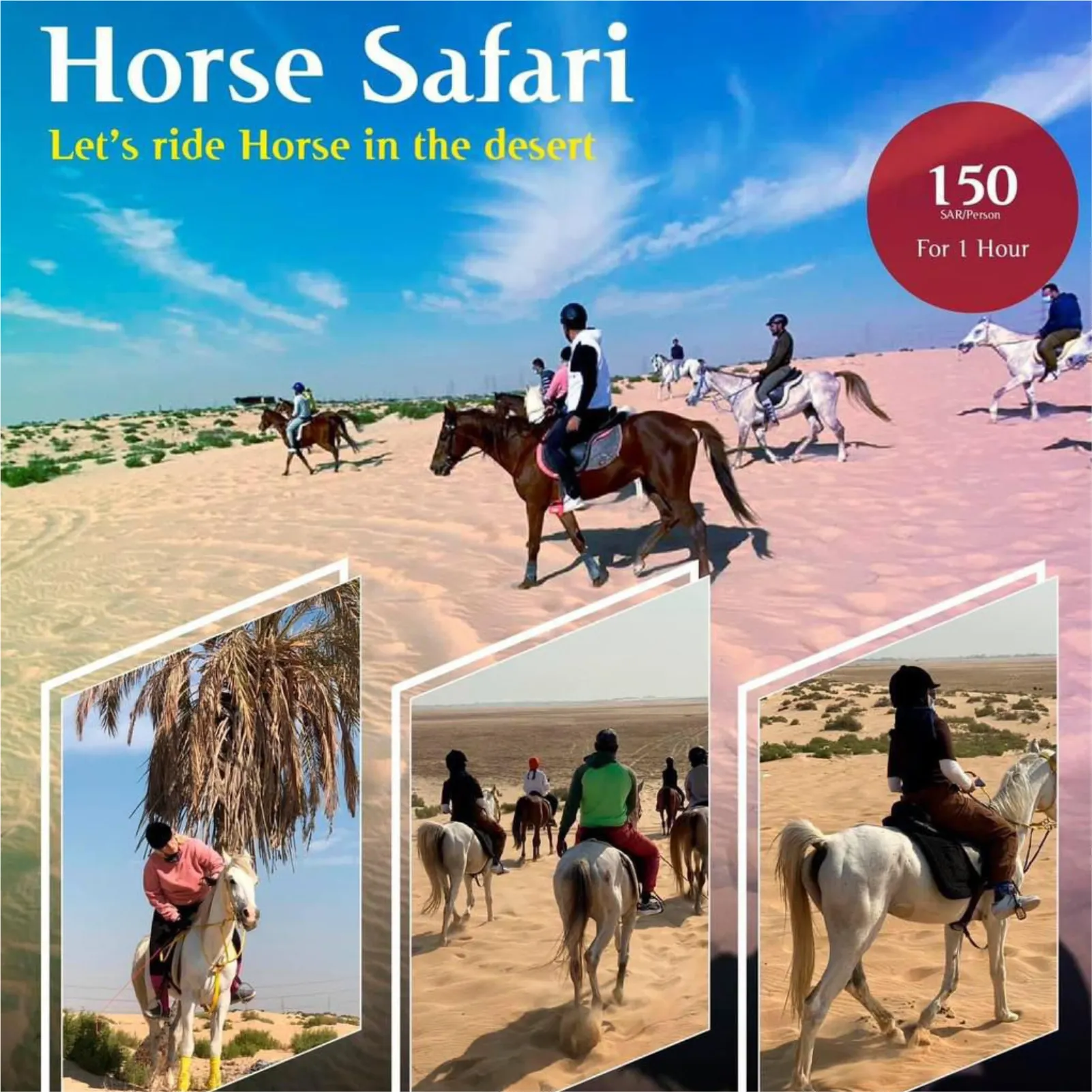 Horse Riding in Dammam, Scuba Diving in Dammam, water spot, Horse Riding in Khobar, Boat Trip in Khobar, Things to do in Dammam & Khobar, Desert Camping in Khobar Fishing trip in Jubail, Powered, Parachute in Alhasa, Microlight in Alhasa, Powered Parachute in Jubail, Desert Safari to Alasfar Lake, Things to do in Dammam &  Khobar, Scuba diving, Scuba Diving in Khobar, Scuba Diving in Eastern Province, Scuba Diving in Jubail, Scuba Diving in Halfmoon Beach, Discovery Scuba Diving in Dammam, Discovery Scuba Diving in Khobar, Discovery Scuba Diving in Halfmoon Beach, Water sports near me, Water Sports in Khobar, Water Sports in Dammam, Water Sports in Eastern Province, Water activities in khobar, Water activities in dammam, Water activities in Eastern Province , Water activities in Halfmoon beach, Parasailing in Khobar, Parasailing in Dammam