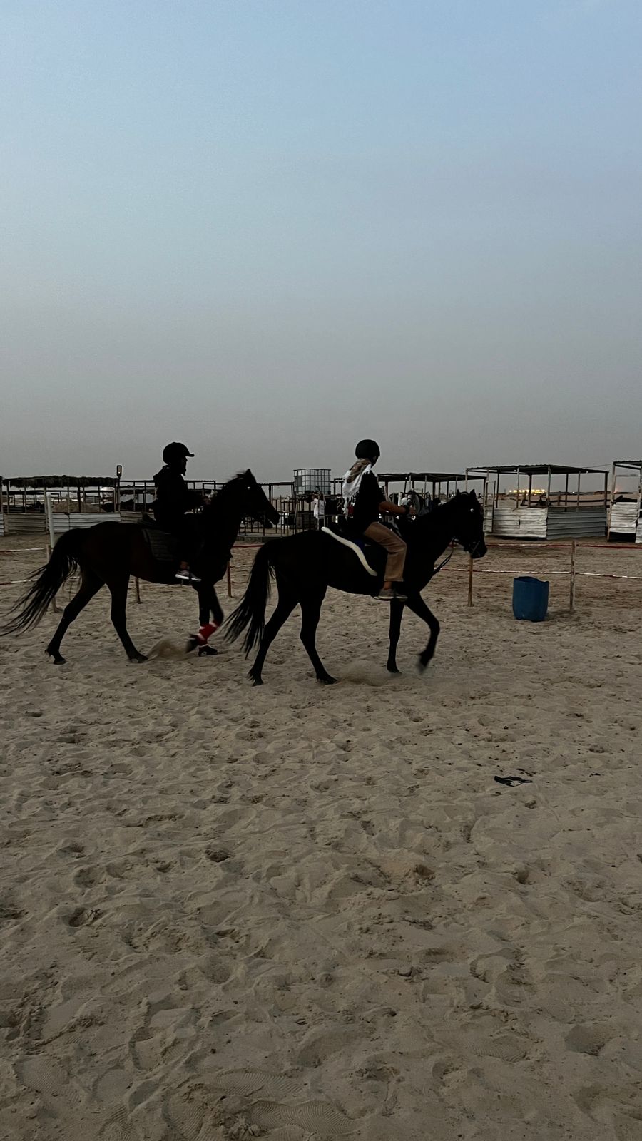 Horse Riding in Dammam, Scuba Diving in Dammam, water spot, Horse Riding in Khobar, Things to do in Dammam & Khobar, Boat Trip in Khobar, Desert Camping in Khobar Fishing trip in Jubail, Powered, Parachute in Alhasa, Microlight in Alhasa, Powered Parachute in Jubail, Desert Safari to Alasfar Lake, Things to do in Dammam &  Khobar, Scuba diving, Scuba Diving in Khobar, Scuba Diving in Eastern Province, Scuba Diving in Jubail, Scuba Diving in Halfmoon Beach, Discovery Scuba Diving in Dammam, Discovery Scuba Diving in Khobar, Discovery Scuba Diving in Halfmoon Beach, Water sports near me, Water Sports in Khobar, Water Sports in Dammam, Water Sports in Eastern Province, Water activities in khobar, Water activities in dammam, Water activities in Eastern Province , Water activities in Halfmoon beach, Parasailing in Khobar, Parasailing in Dammam