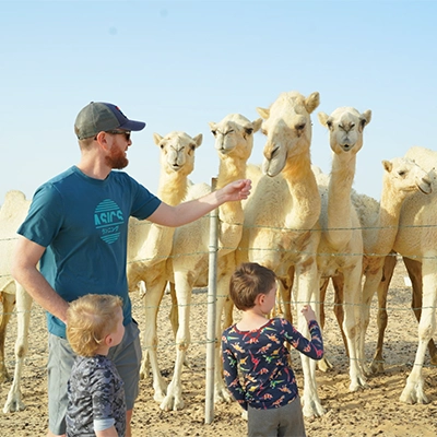 Desert Safari & Camel Farm Tour in Dammam: Experience the Arabian Desert | Complete Visitor Guide