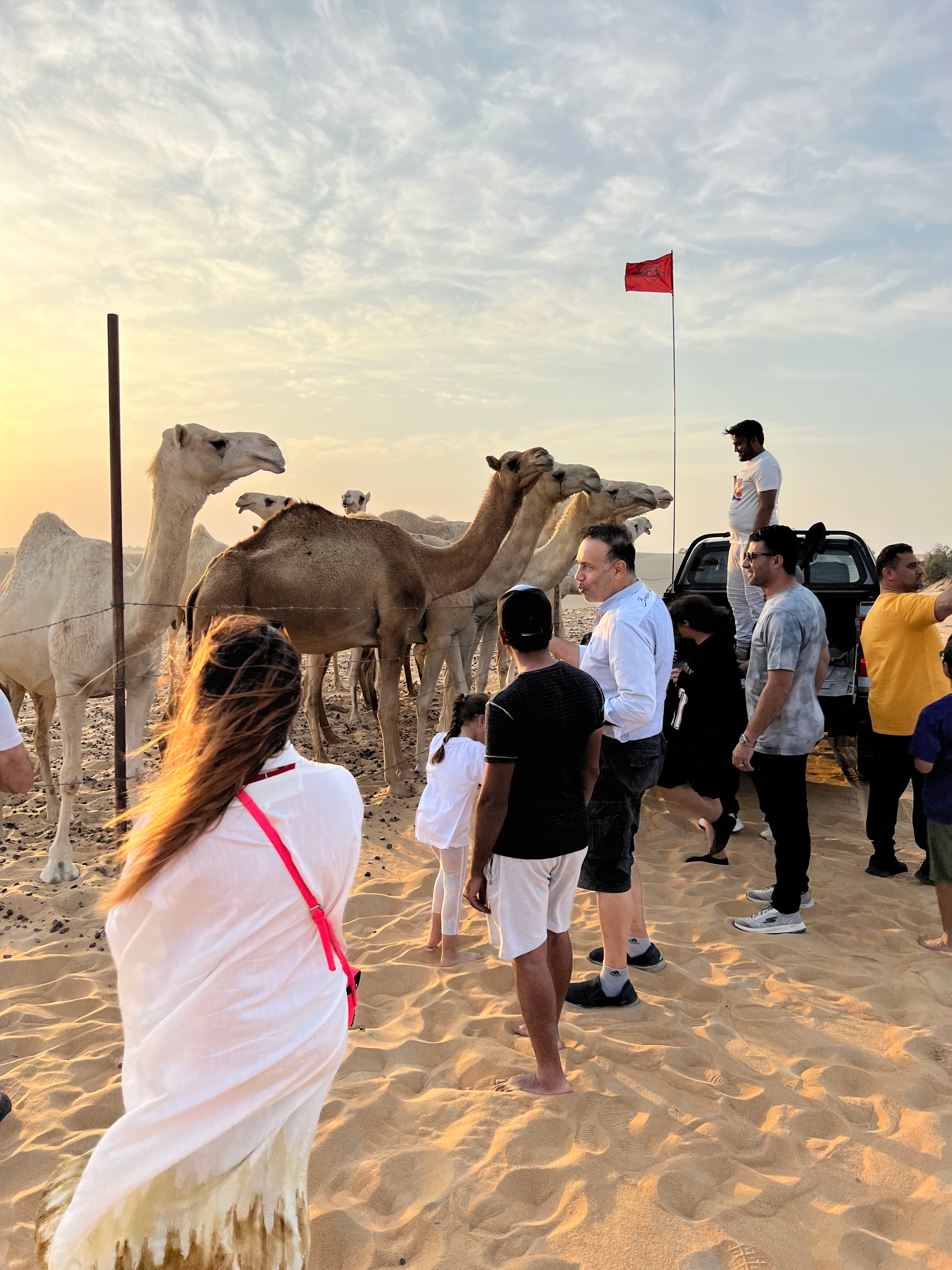 Desert Safari