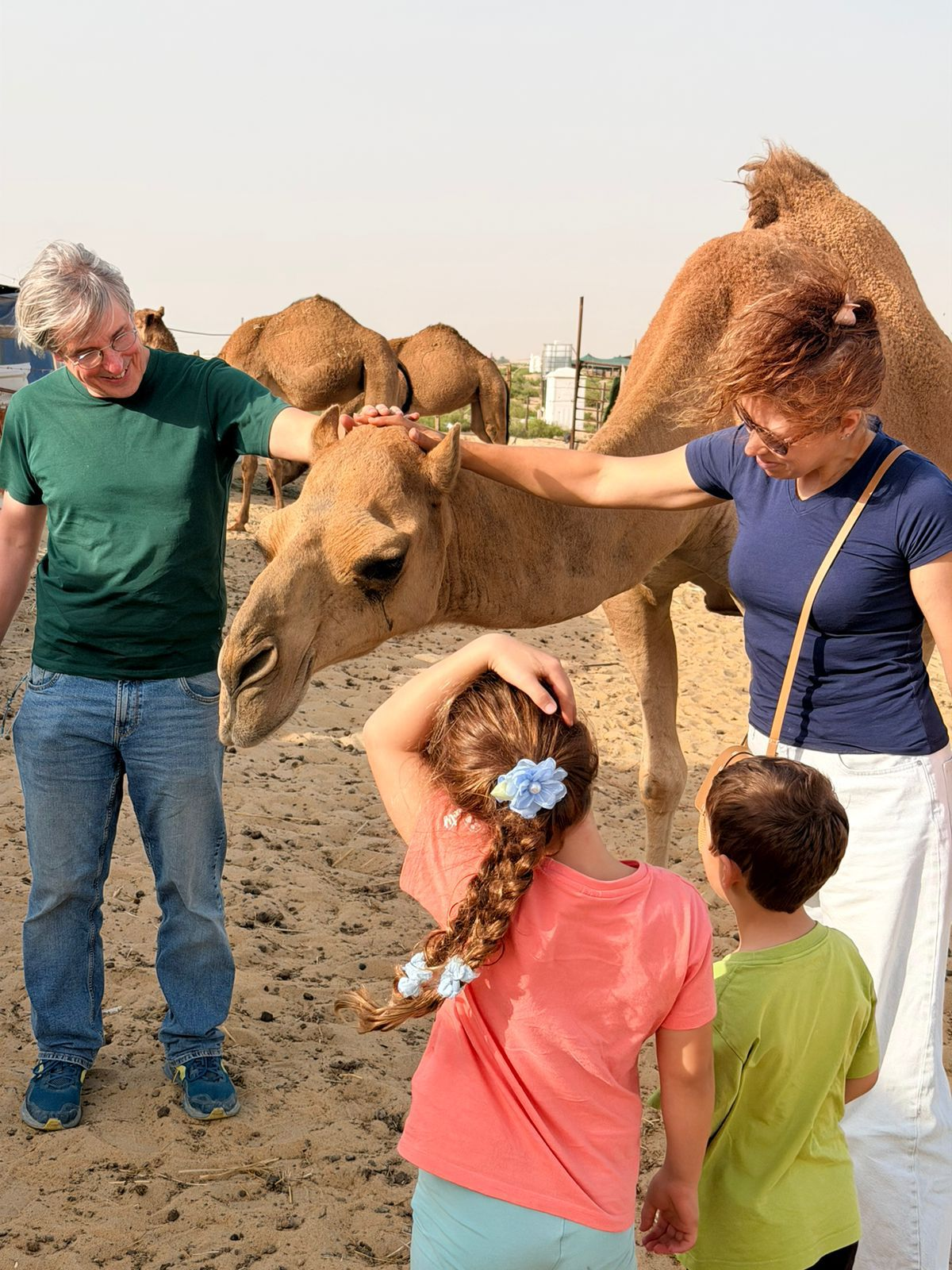 Desert Safari to Alasfar Lake