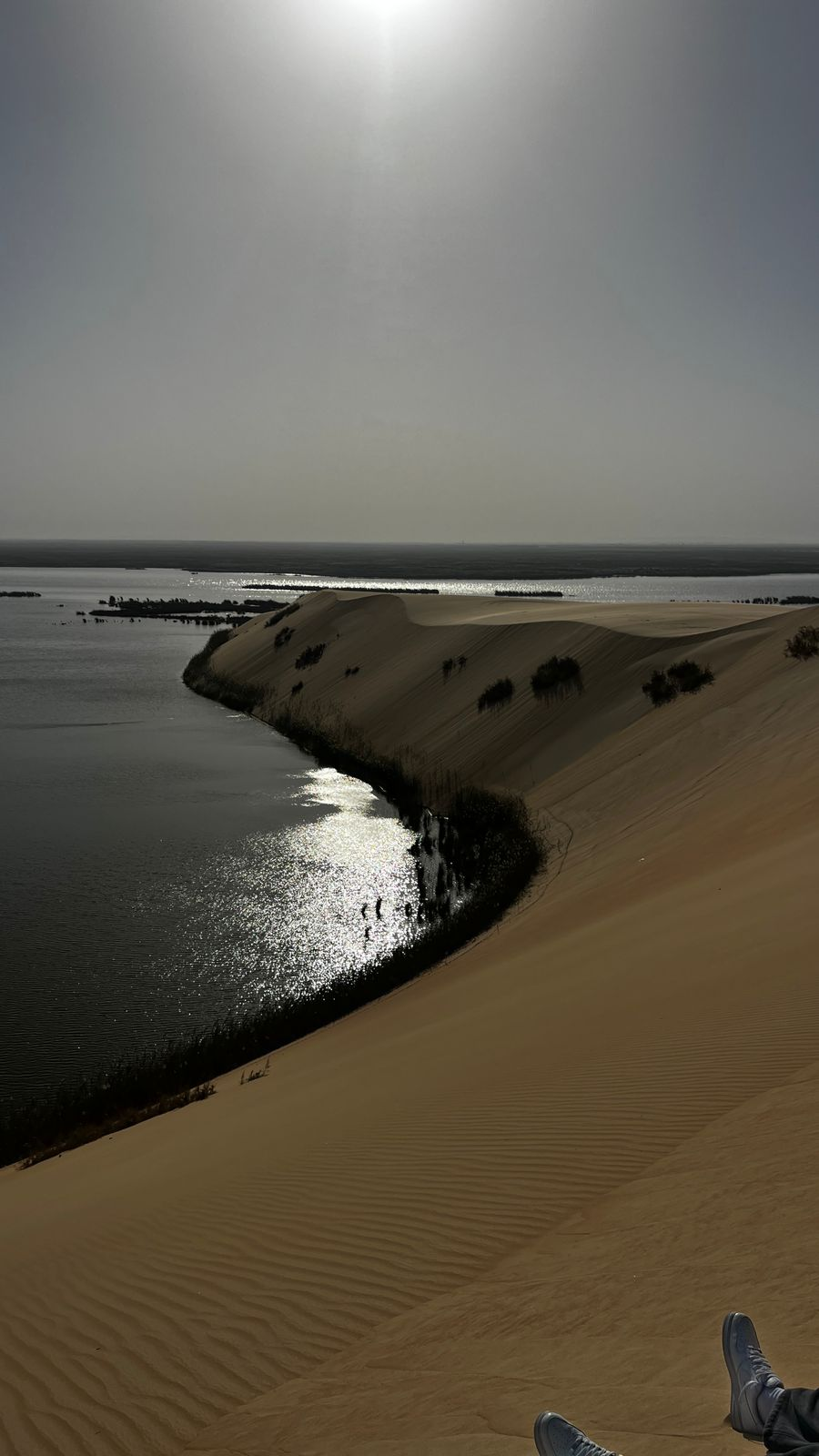 Desert Safari to Alasfar Lake